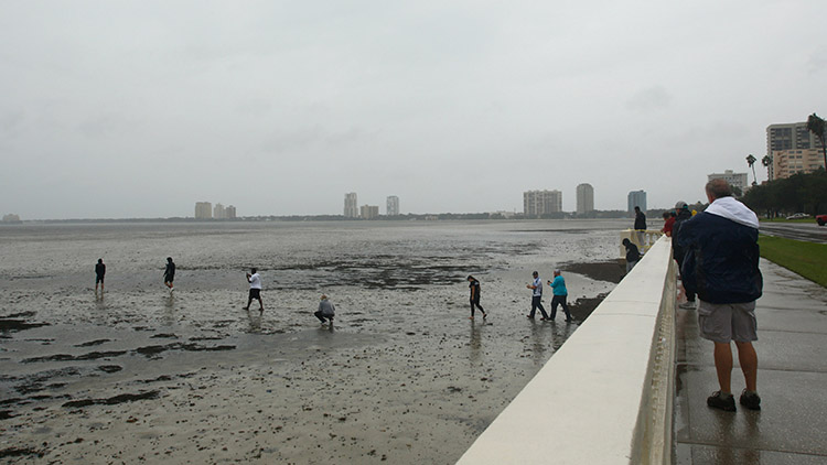 people walking on ocean floor as