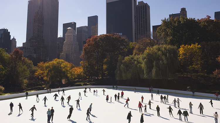 crowd in ice skating rink