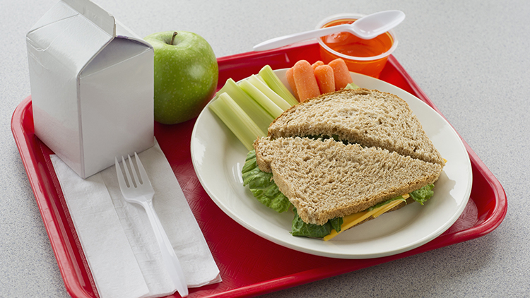 Almuerzo escolar saludable en una bandeja roja