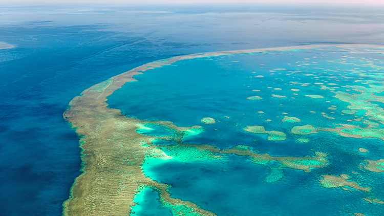 Great Barrier Reef