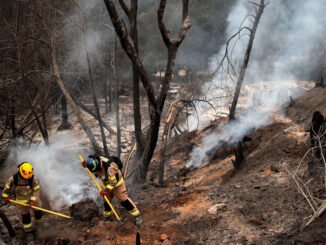 firefighters in a smoky, burnt field