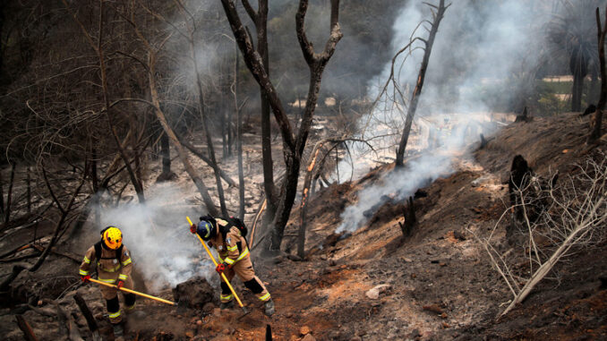 firefighters in a smoky, burnt field
