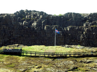 Icelandic flag in a field with a cliff in the background
