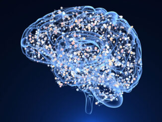 brain activity during thinking