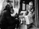 La Dra. Jane Goodall interactuando con un chimpancé alrededor de 1965.