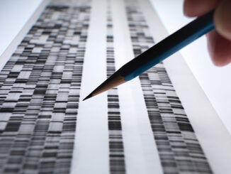 Scientist viewing DNA gel used in genetics and other sciences.