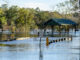Heavy rains flooded the Choctawhatchee River in Ebro, Florida resulting in this bridge and road being under water.